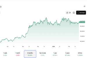 Bitcoin Fluctuations over the Past 6 Months
